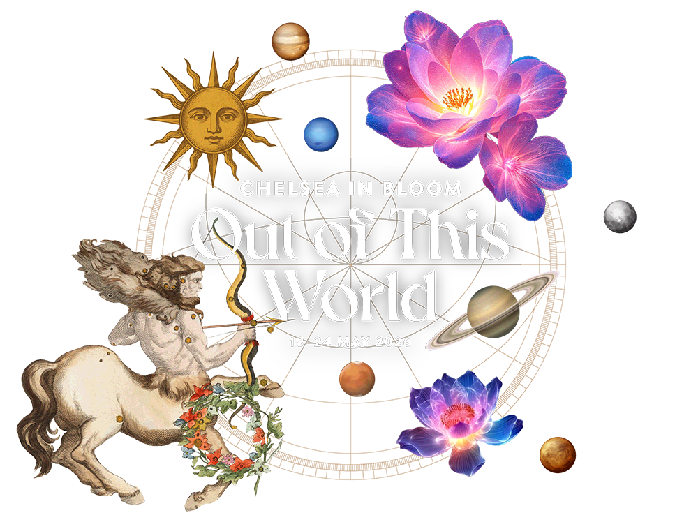 Chelsea in Bloom – Out of This World